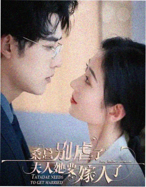 晟天电影网西北区域电影